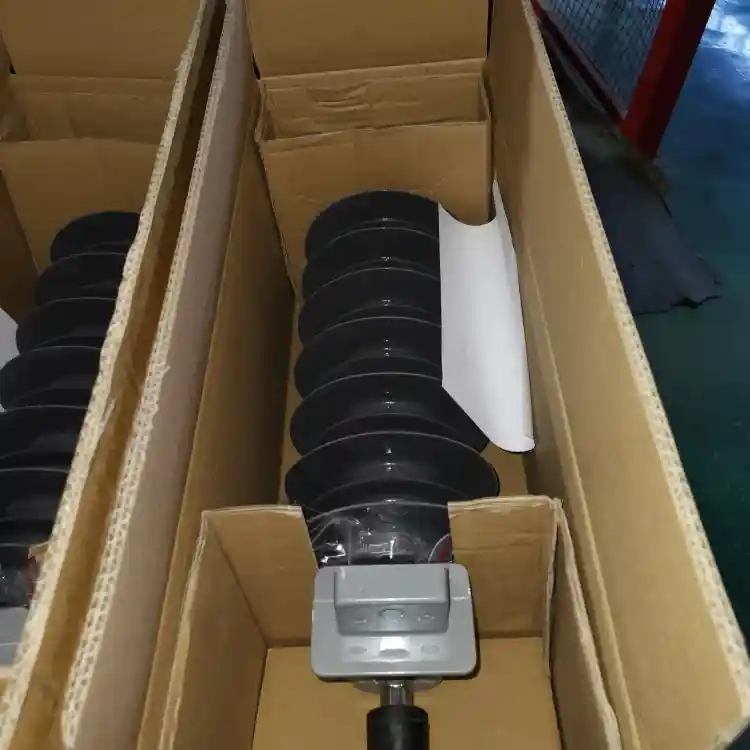 package of surge arrester
