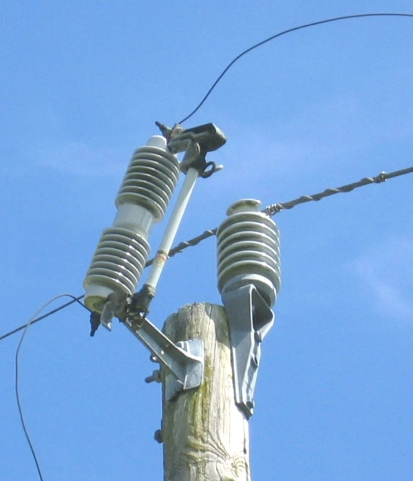 Power distribution system with fuse cutout and surge arrester