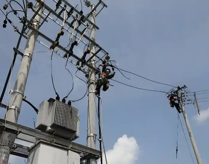 AsiaPower reliable 11kV-33kV distribution protection equipment including fuse cutout and surge arrester installed on power pole