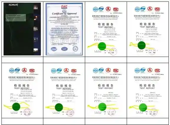 Type Test Report