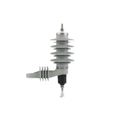 9kV Surge Arrester | YH5-9 YH10-9 Lightning Protection | AsiaPower