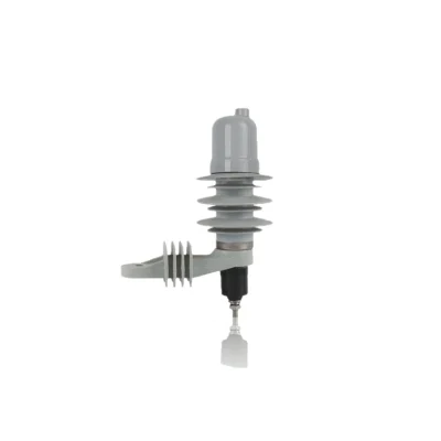 6kV Polymer Housed Zinc Oxide Surge Arrester for Industrial Power Systems